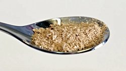 Finlandiyalı Bilim İnsanları Elektrikten Besin Üretti!