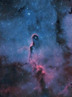 Cepheus’taki Fil Hortumu Bulutsusu