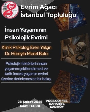 İnsan Yaşamının Psikolojik Evrimi