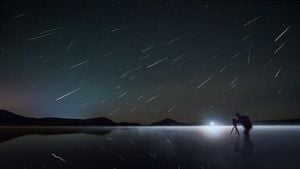 Perseid Meteor Shower Lights Up August Nights With Spectacular Displays