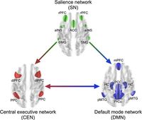 Phase-lagged tACS between executive and default mode networks modulates working memory - Scientific Reports
