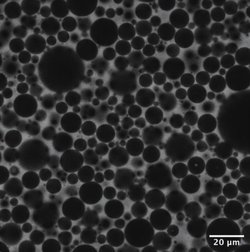 Köpük Fiziği ile Yapay Zekâ Arasında Beklenmedik Bağlantı: Köpükler AI Gibi “Öğreniyor”.