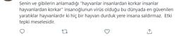 Köpekler durduk yere insana saldırır mı?