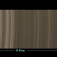  Ring Scan