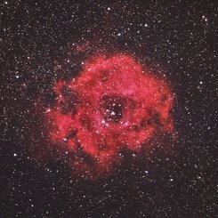 Rosette Bulutsusu