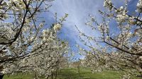 Wetter und Verkehr: Wetterdienst prognostiziert durchwachsenes Osterwetter