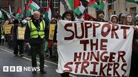 Palestine Action: Two protesters awaiting trial end hunger strike