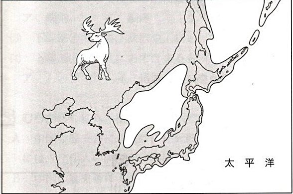 Japonya ana kara bağlantısı