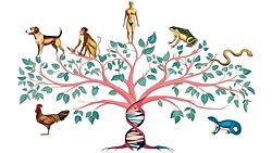 Evrim ve Moleküler Biyoloji: Evrimin Moleküler İzleri
