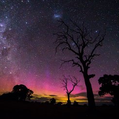  Sky Lights in the New Year 