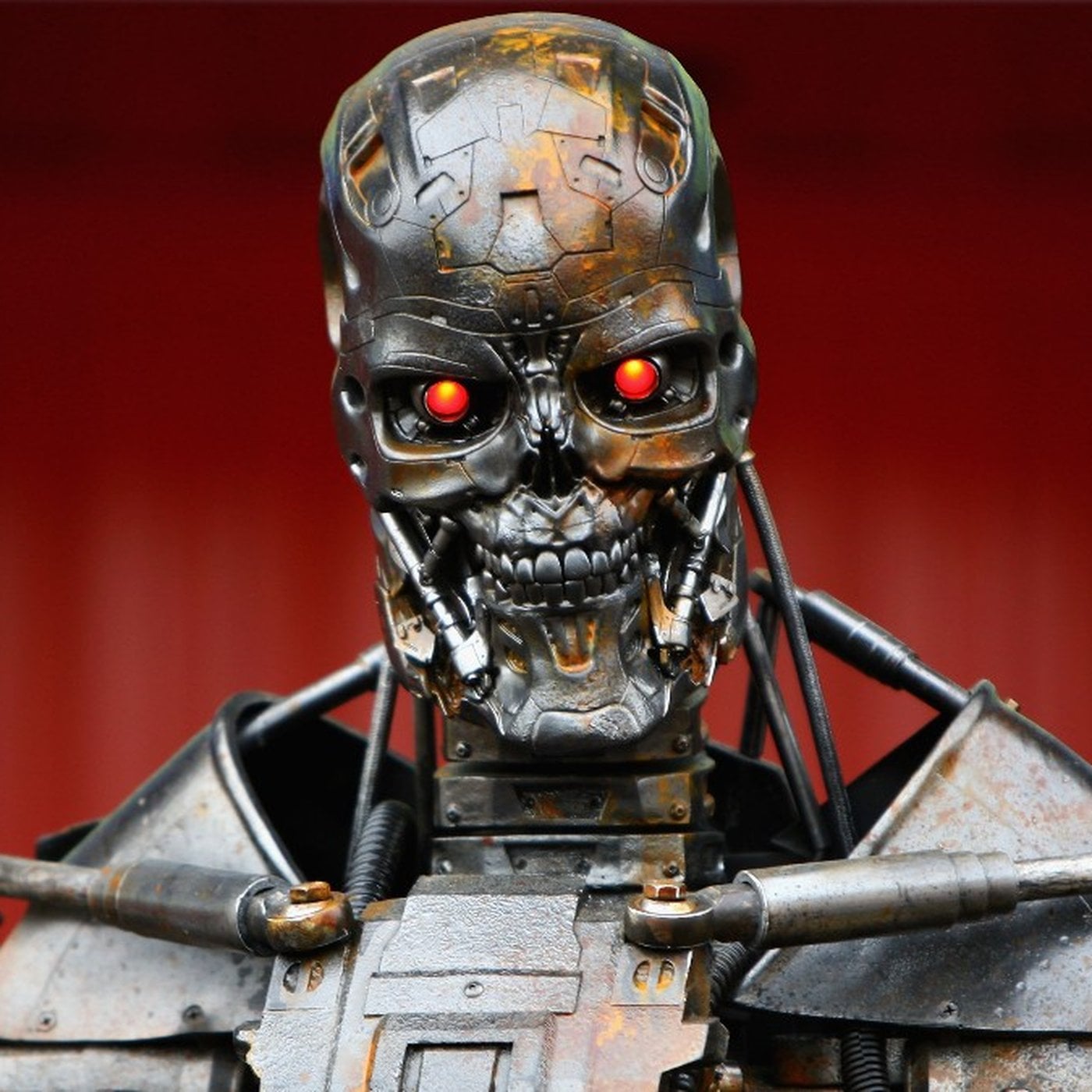 Evrim Ağacı ile Bilime Dair Her Şey!