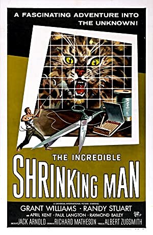 Kendi Kendine Küçülen Adam