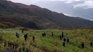 Manipur Breaks Ground By Destroying Illegal Poppy Farms