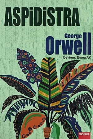 Aspidistra