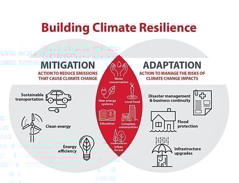 iklim direnci stratejileri