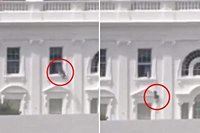 Trump claims video of items thrown from White House window ‘probably AI’ — after aide fingers contractor