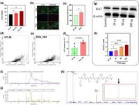Tryptic oncopeptide secreted from the gut bacterium Cronobacter malonaticus PO3 promotes colorectal cancer - Scientific Reports