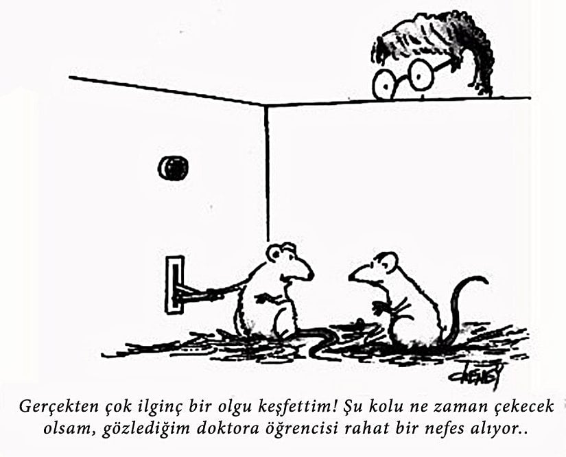 Koşullanma deneylerine ilginç bir diğer bakış açısı... Aslında gerçekten hoş bir noktaya parmak basılıyor. Günlük yaşantımızda birçok şeye şartlanıyoruz; ancak bunlar bizim "normal davranışlarımız" olarak algılandığı için, onların klasik bir koşullanmadan ibaret olduğunun farkına varmıyoruz. Ancak aynı zamanda, diğer hayvan türlerinde gözlediğimiz klasik koşullanmanın sayısız örneğini, onların "ne kadar basit" davranışlar sergilediğine örnek olarak sunuyoruz. Halbuki kendi davranış kalıplarımızın büyük bir kısmı, aynı şartlanmalardan oluşuyor. Sadece bizimkisi çok daha kapsamlı ve çok daha iç içe geçmiş halde...