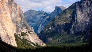 Yosemite National Park Staff Cuts Spark Concern