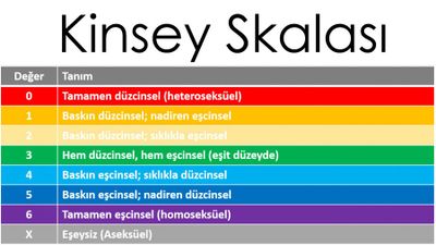 Kinsey Skalası: Düzcinsellikten, Eşcinselliğe Yelpaze