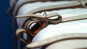 Tennessee Execution Raises Alarms Over Lethal Injection