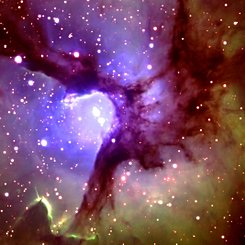 In the Center of the Trifid Nebula