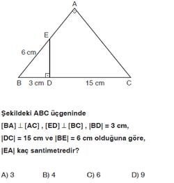 |EA| kaç santimetredir?