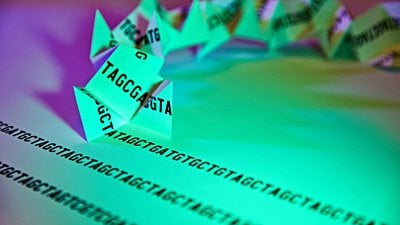 Gen Benzerliği (Genetik Benzerlik) Nedir? İnsan Genomu, Diğer Canlılara Ne Kadar Benzer?