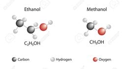 Kör olmak mı, olmamak mı ? İşte Bütün Mesele Bu