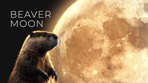 Discover How November's Beaver Moon Transforms Our Lives