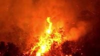 Pickett Fire spreads, evacuations expand near Calistoga