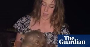 American Influencer Defends Wombat Controversy Amid Outrage