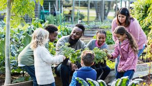 Birmingham's Allotment Culture Grows Community And Resilience