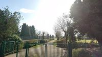 Boy, 12, falls to his death while playing on playground apparatus