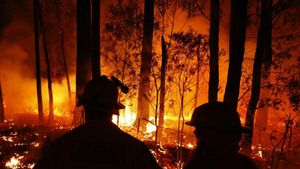 Local Firefighters Rally To Combat Wildfires Across Australia