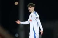 Sutton United vs Leeds United U21s highlights as Harry Gray and Diogo Monteiro goals seal cup final win