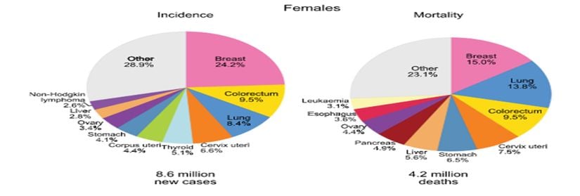 Kadınlarda meme kanserinin de arasında olduğu 10 ölümcül kanser türünün görülme oranları ve buna bağlı ölüm oranları