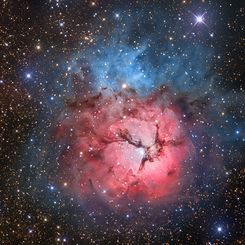  The Beautiful Trifid 