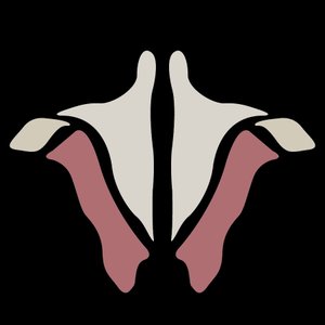 Institute of Human Anatomy