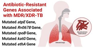 Comparison Of Antibiotic Resistance Patterns In Mycobacterium Tuberculosis Revealed