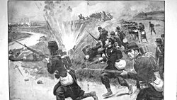 Savaş hayvanları doğru ve etkili mi ?