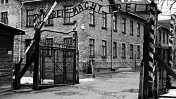 ETİK DIŞI DENEYLER, BİLİMSEL BİLGİ KAYNAĞI KABUL EDİLEBİLİR Mİ?