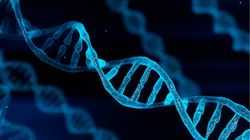 İnsan ve hayvan DNA'sı karıştırılabilir mi?