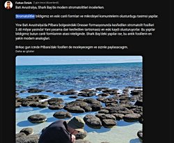 3.5 milyar yıllık bakteri fosillerinin tam olarak bakteri oldukları nasıl anlaşılıyor?