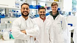 Yeni Bir Bağışıklık Sistemi Savunma Yolu Keşfedildi