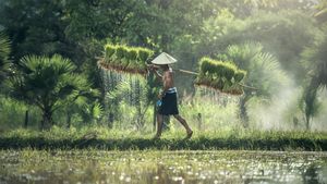 Farmers Face Urgent Water Crisis Across Continents