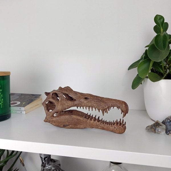 Spinosaurus Mini Seramik Heykel