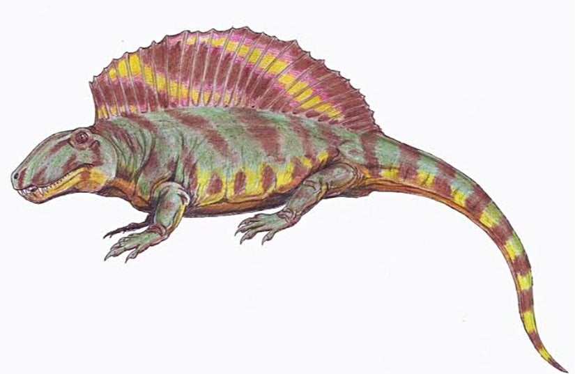 Bir pelycosaur canlandırması