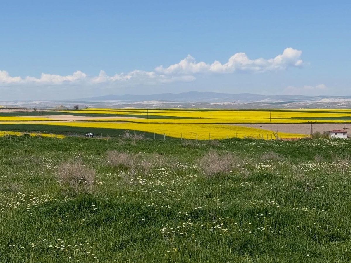 Gordion'dan Polatlı'ya
