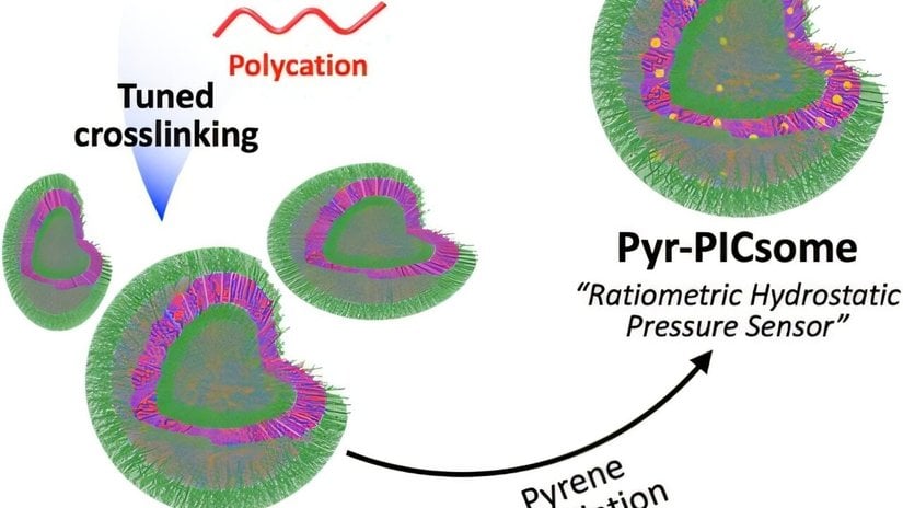 Ayarlanabilir Nanosensörler Su Basıncını Floresan Sinyallere Nasıl Dönüştürüyor?